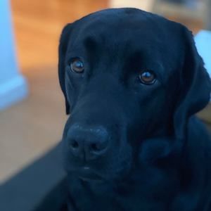 Meet your Posher, Maureen